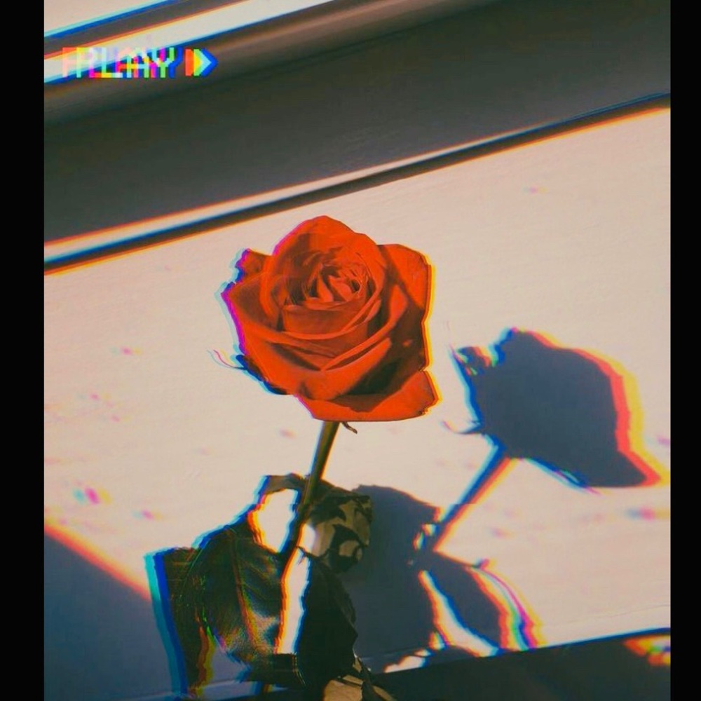 Meet your Posher, Michell